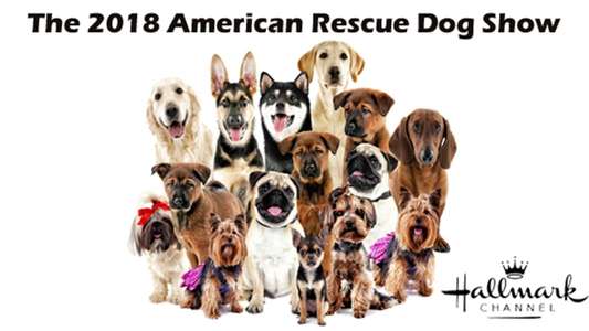 The 2018 American Rescue Dog Show - Backdrop