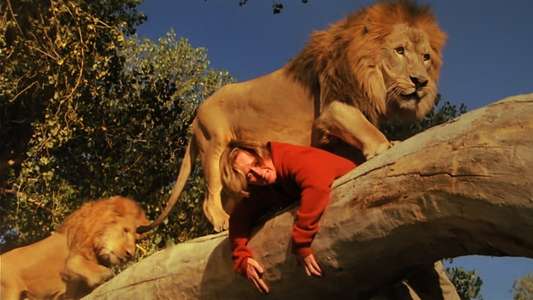 Roar - Backdrop