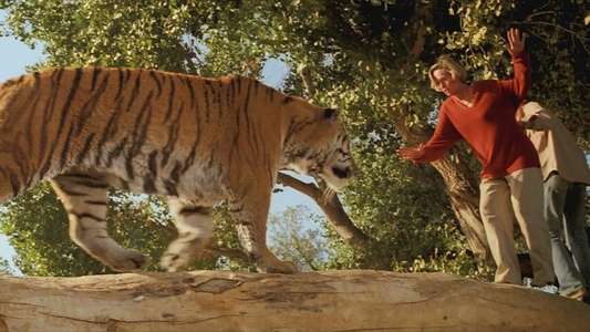 Roar - Backdrop