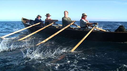 The Camino Voyage - Backdrop