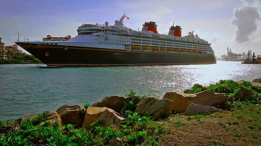 The Wrong Cruise - Backdrops