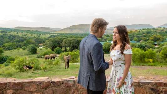 Love on Safari - Backdrop