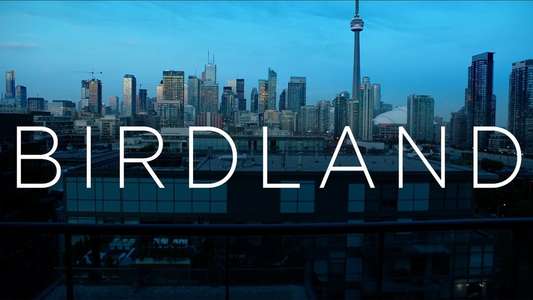 Birdland - Backdrop