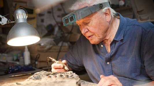 Attenborough and the Sea Dragon - Backdrop