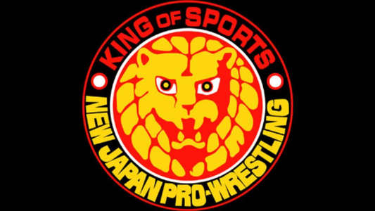 NJPW New Year Dash 2018 - Backdrop