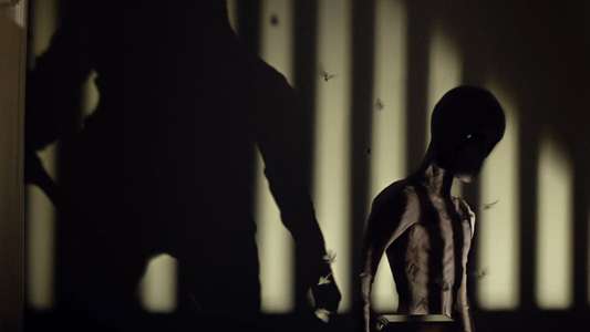 Before I Wake - Backdrop