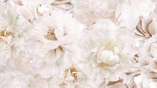 A Wedding to Die For (Deadly Vows) - Backdrop