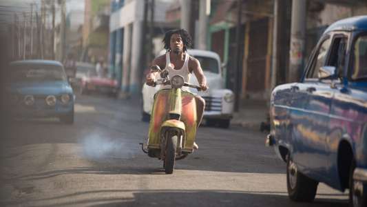 Yardie - Backdrop