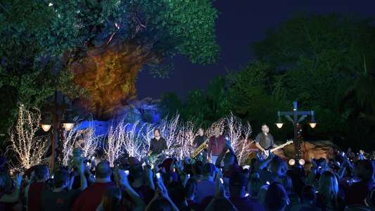 The Wonderful World of Disney: Magical Holiday Celebration - Backdrops