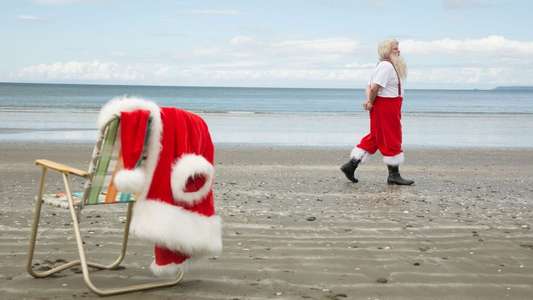Kiwi Christmas - Backdrop