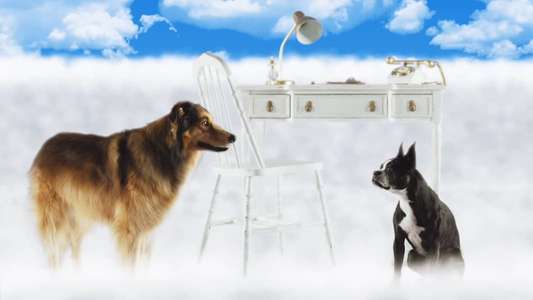 Best Friend from Heaven - Backdrop
