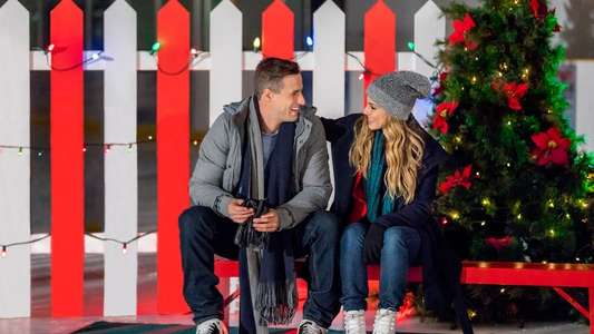 Magical Christmas Ornaments - Backdrop