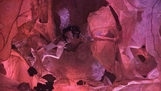 Fantastic Voyage - Backdrop