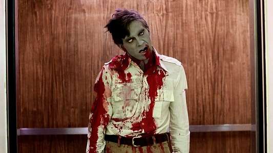 Dawn of the Dead - Backdrop