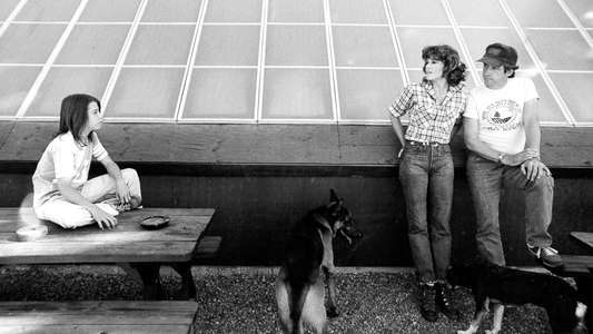 Jane Fonda in Five Acts - Backdrops