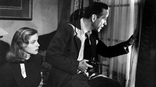 The Big Sleep - Backdrop