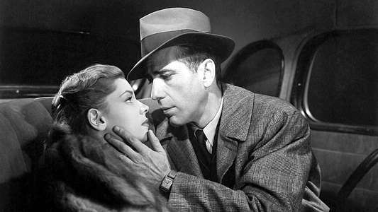 The Big Sleep - Backdrop