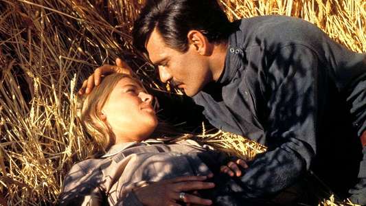 Doctor Zhivago - Backdrop