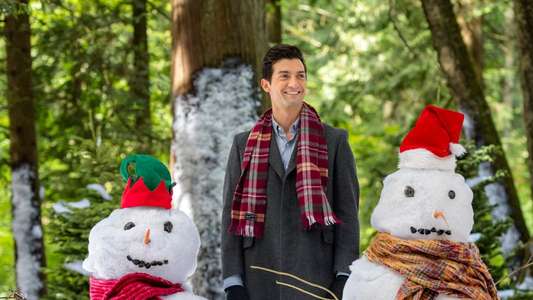 The Mistletoe Inn - Backdrop