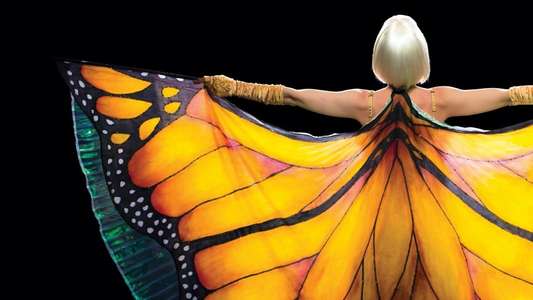 The Butterfly Tree - Backdrop