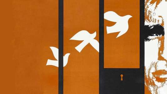 Birdman of Alcatraz - Backdrop