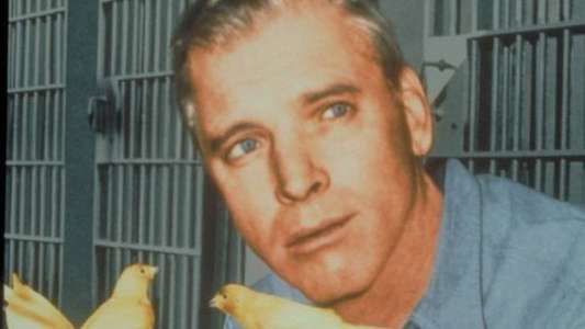 Birdman of Alcatraz - Backdrop