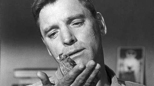 Birdman of Alcatraz - Backdrop