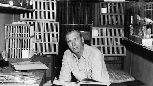 Birdman of Alcatraz - Backdrop