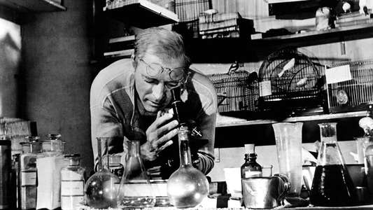 Birdman of Alcatraz - Backdrop