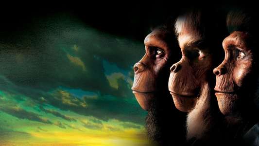 Planet of the Apes - Backdrop