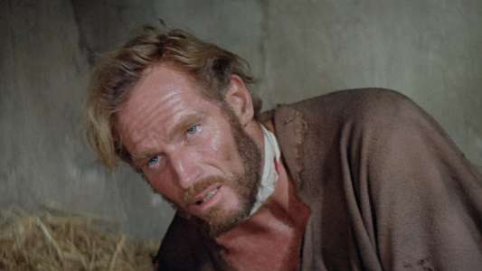 Planet of the Apes - Backdrop