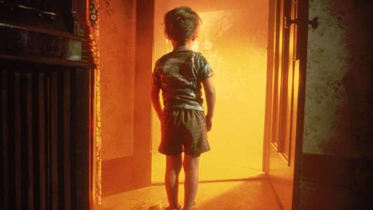 Close Encounters of the Third Kind - Backdrop