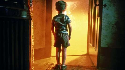 Close Encounters of the Third Kind - Backdrop