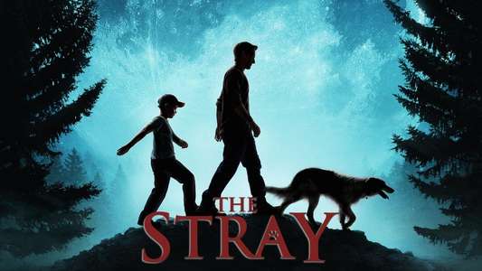 The Stray - Backdrop