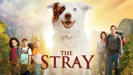 The Stray - Backdrop