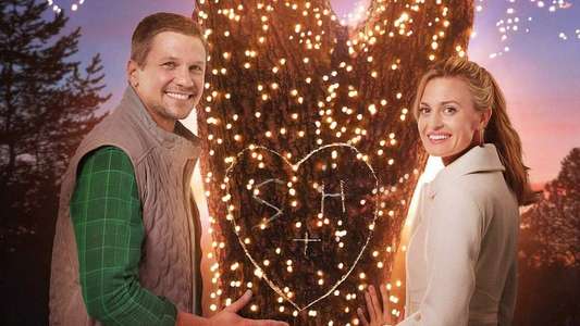 Miss Christmas - Backdrop