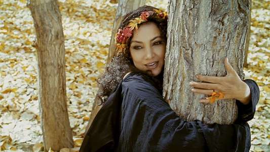 The Wishing Tree - Backdrop