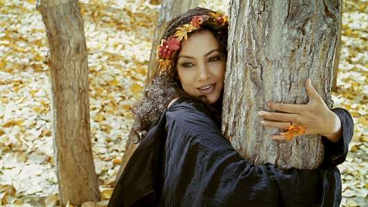 The Wishing Tree - Backdrop