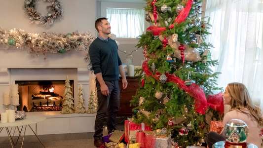 Karen Kingsbury's Maggie's Christmas Miracle - Backdrop