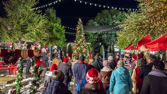 The Christmas Cottage - Backdrop