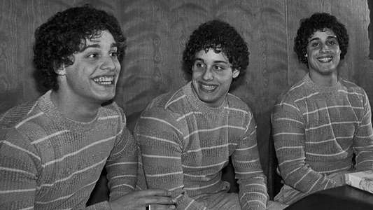 Three Identical Strangers - Backdrop