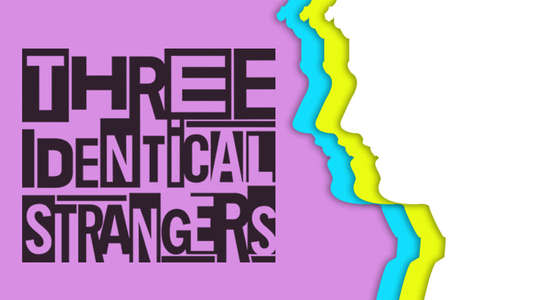 Three Identical Strangers - Backdrop