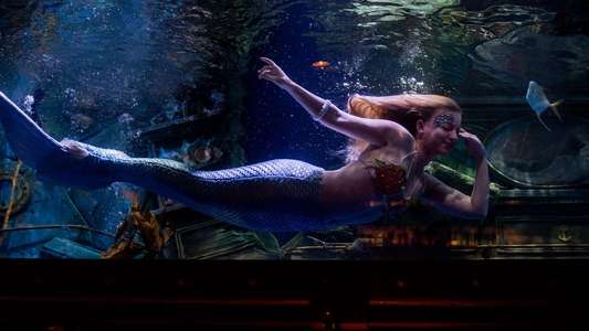 Mermaids - Backdrops