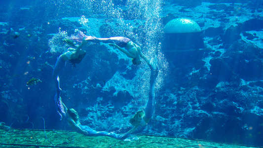 Mermaids - Backdrops