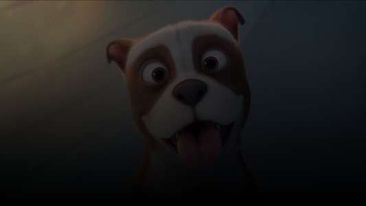 Sgt. Stubby: An American Hero - Backdrop