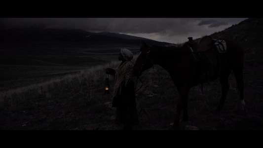 Ride By Night - Backdrop