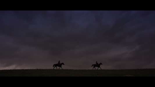 Ride By Night - Backdrop