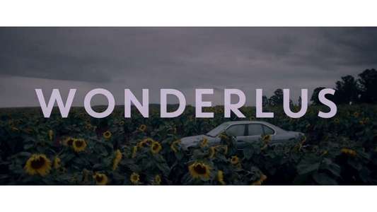 Wonderlus - Backdrop