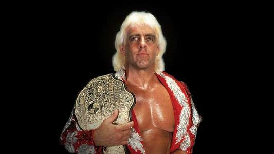 Nature Boy - Backdrops