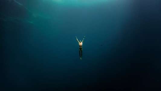 Dolphin Man - Backdrop